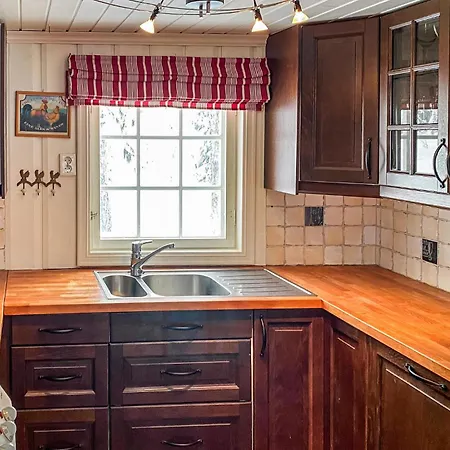 In Gol With Kitchen * Golsfjellet