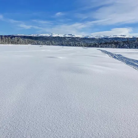 In Gol With Kitchen Dom wakacyjny Golsfjellet